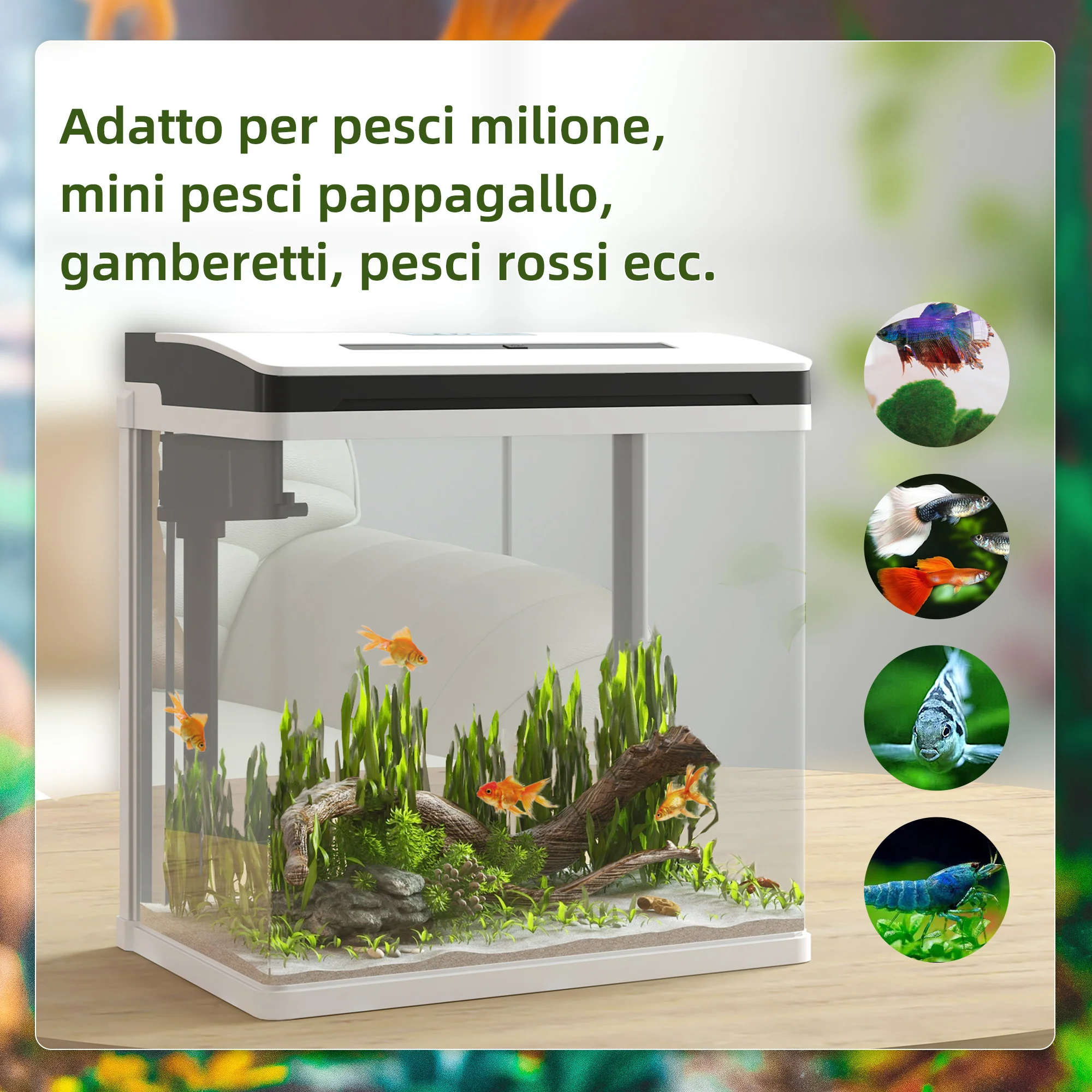 Immagine prodotto 4