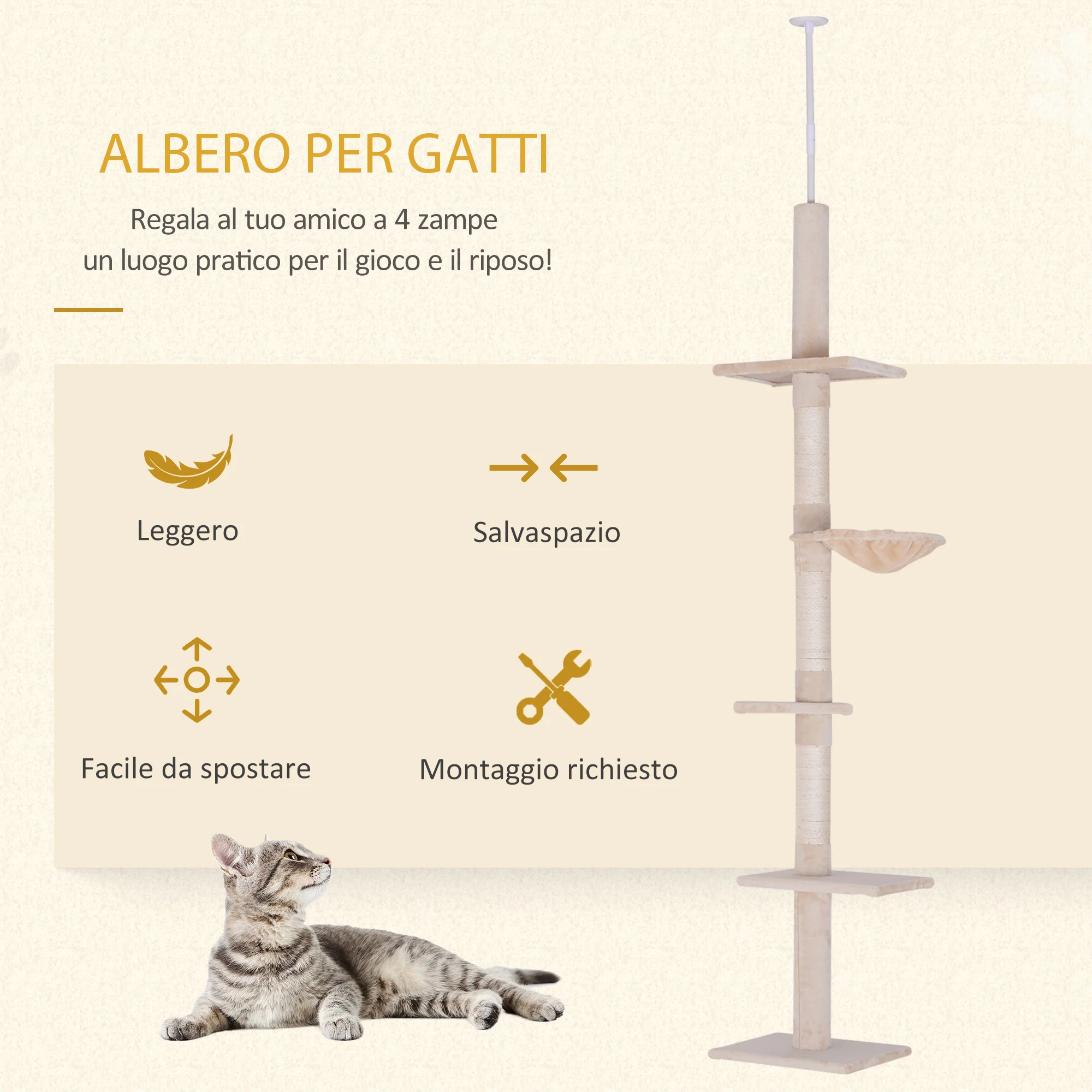 Immagine prodotto 4
