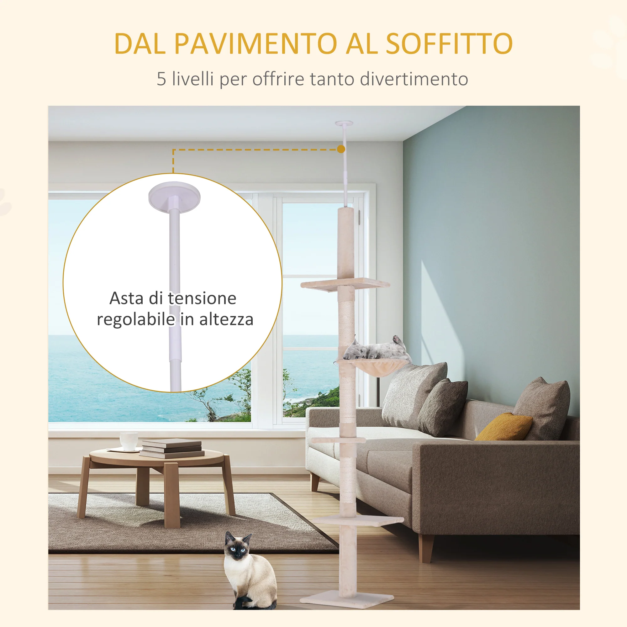 Immagine prodotto 5