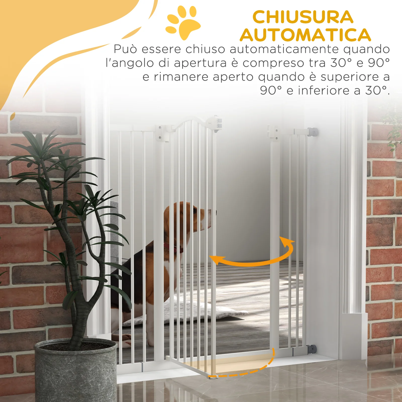 Immagine prodotto 5