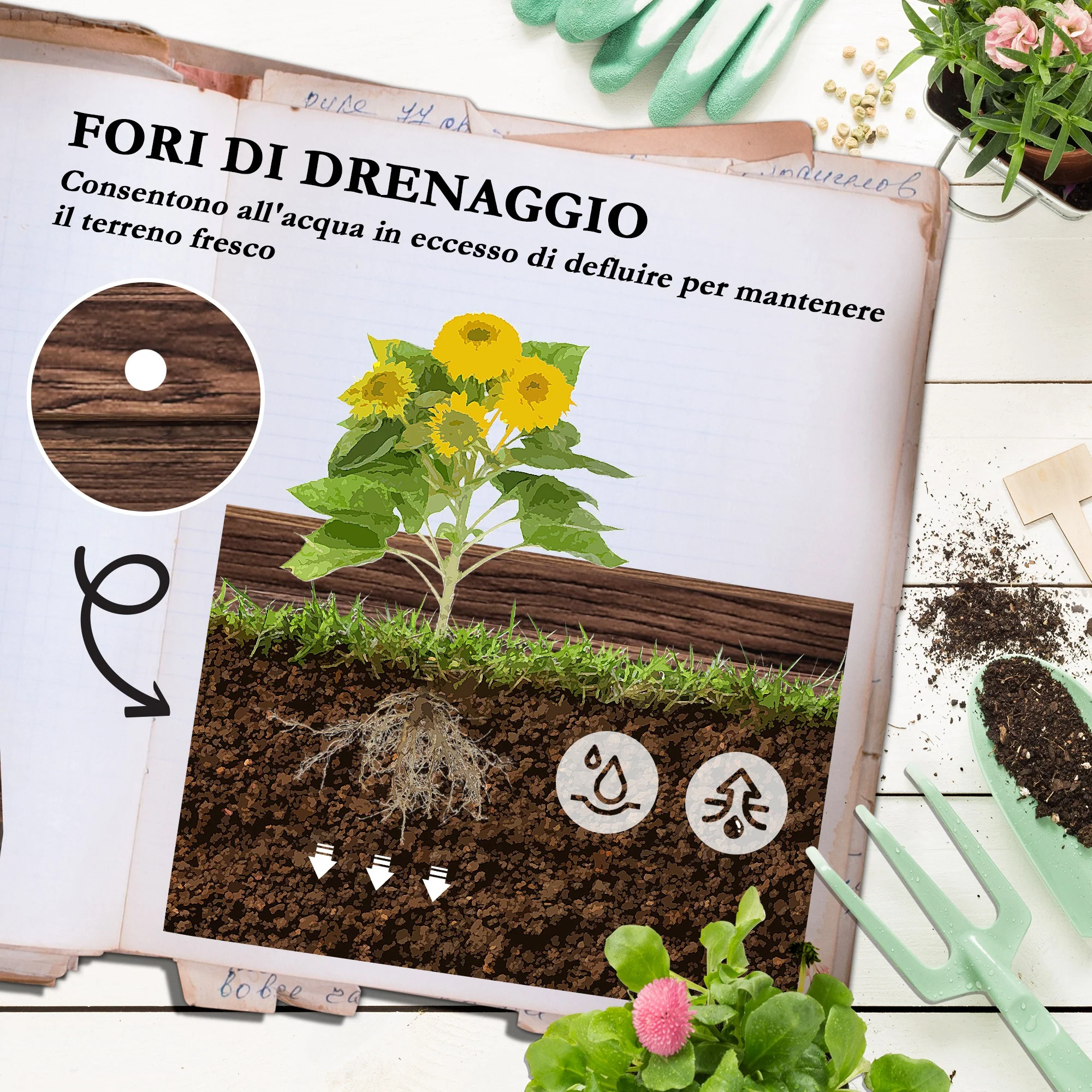 Immagine prodotto 5
