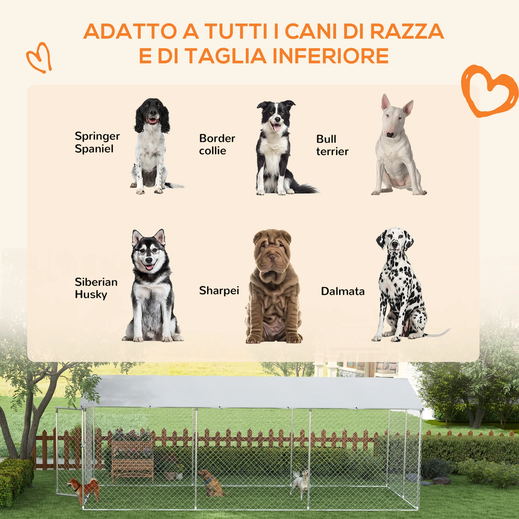 Immagine prodotto 4