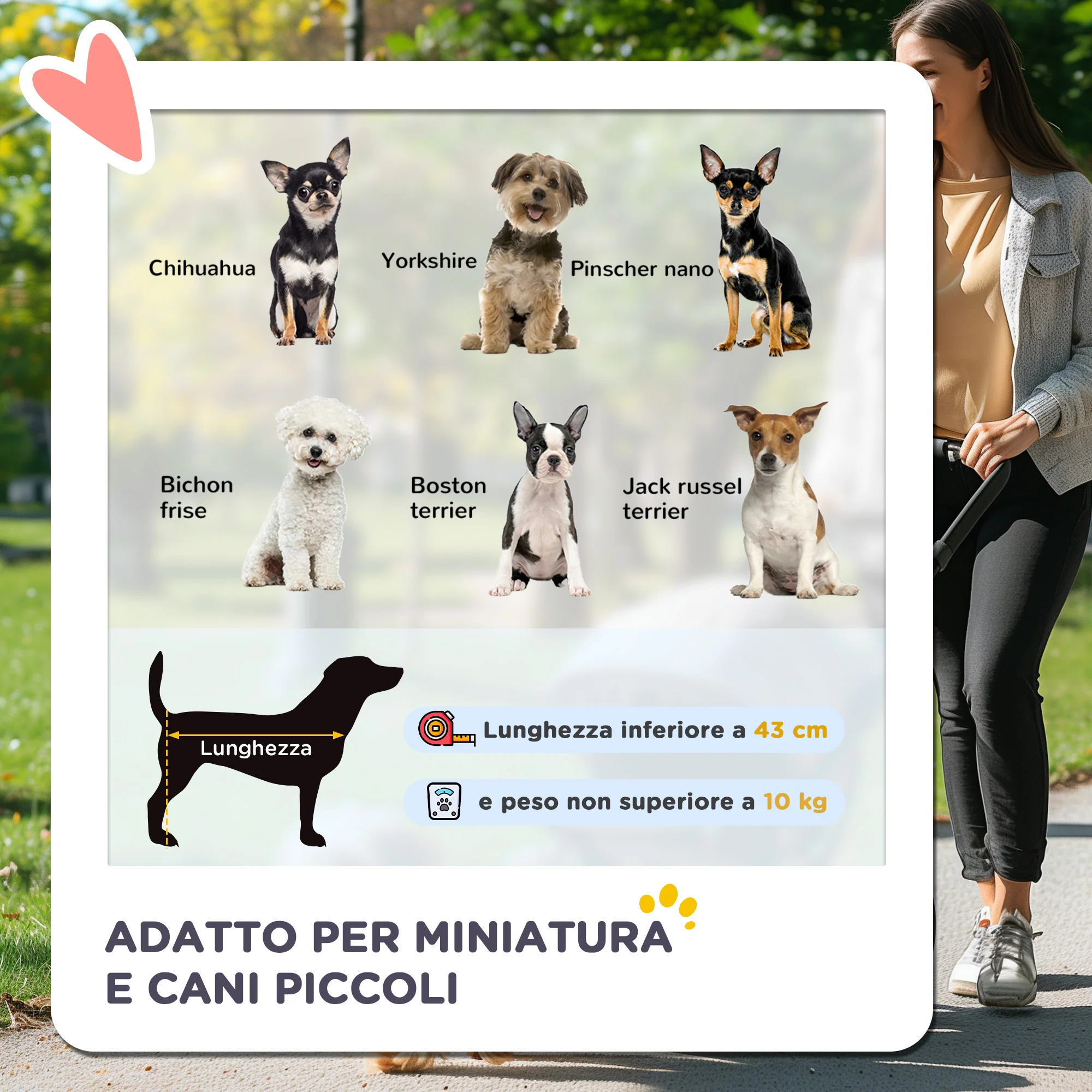 Immagine prodotto 4