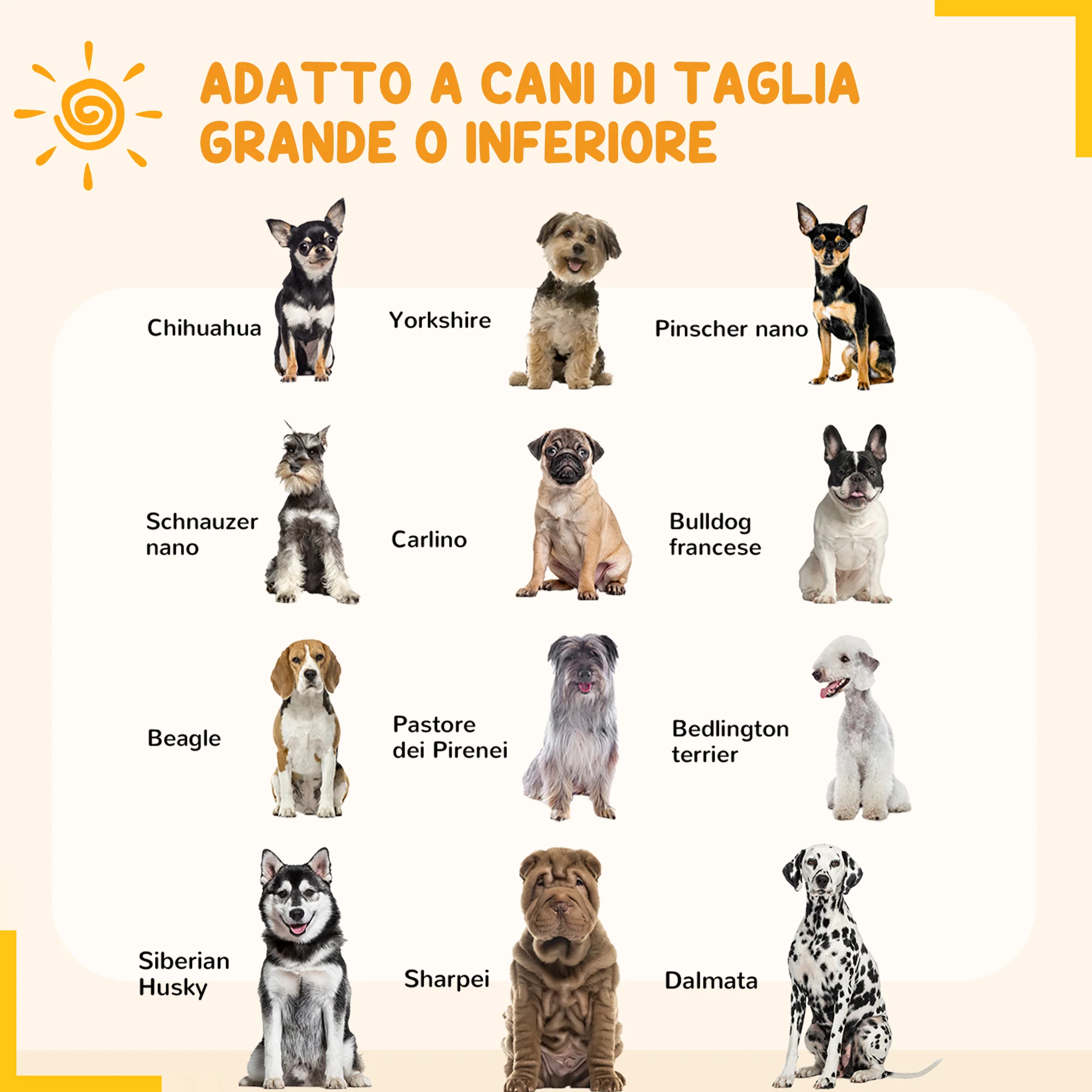 Immagine prodotto 4