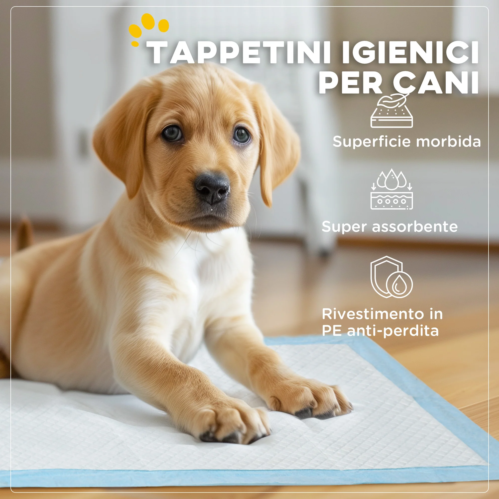 Immagine prodotto 4