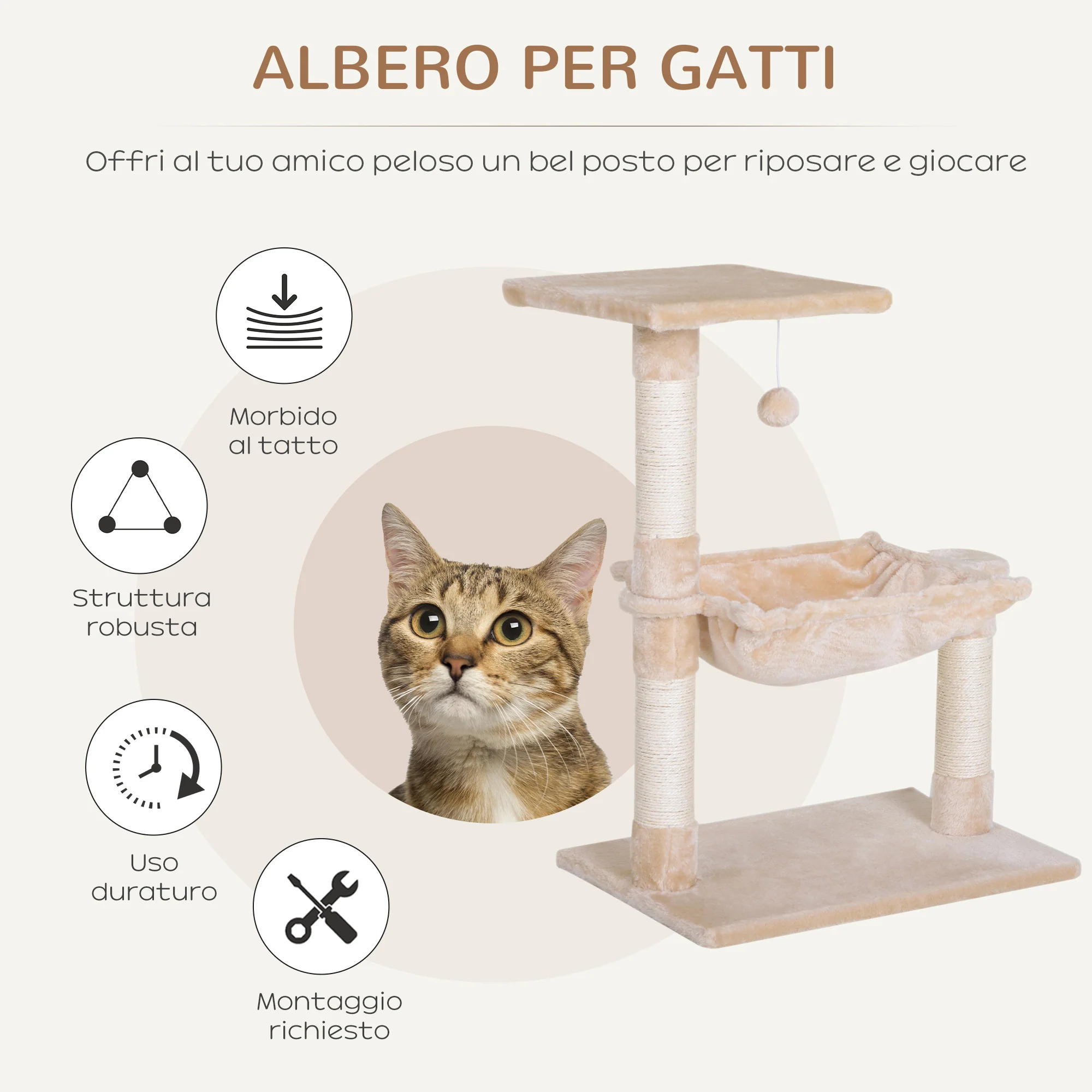 Immagine prodotto 4